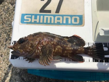 遅いというよりおかしい…