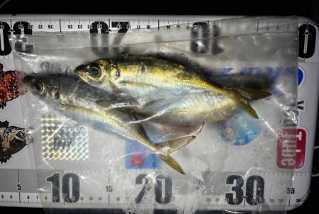 最近の目標は3匹アジング