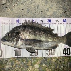 ナイトチニング