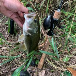 久しぶりの釣行