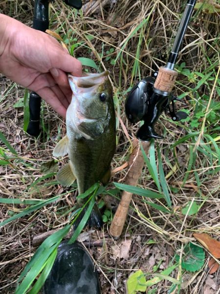 久しぶりの釣行