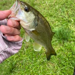 いよいよ夏本番のタフレイク