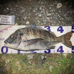 ナイトチニング