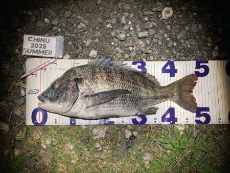 ナイトチニング