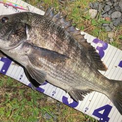 ナイトチニング