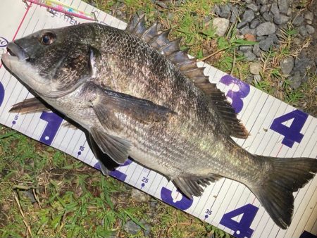 ナイトチニング