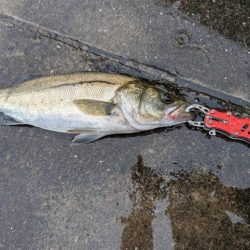 雨のなか渾身の一枚