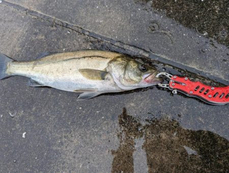 雨のなか渾身の一枚