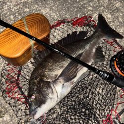 ヘチってきました