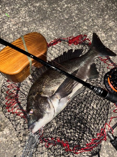 ヘチってきました