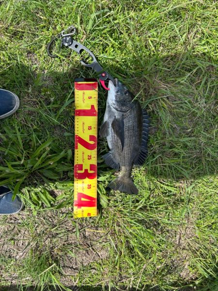 高梁川チニング