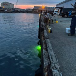 集魚灯イベントへ！