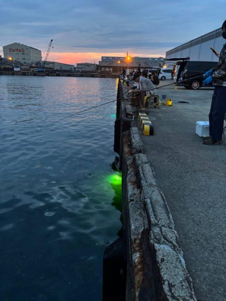 集魚灯イベントへ！