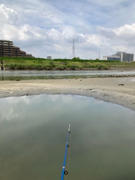 意外と大きいハゼも