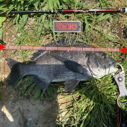 巷で話題のあのワームでチニング検証！