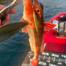 サップフィッシングす