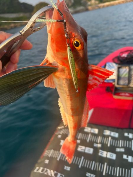 サップフィッシングす