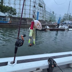 今津から明石までタコ釣り