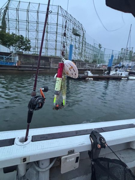今津から明石までタコ釣り