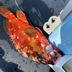 ボートフィッシング