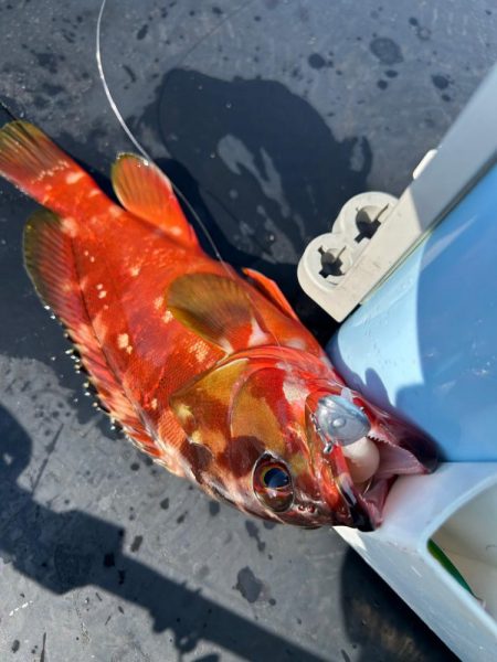 ボートフィッシング