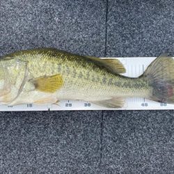 1日ボート釣行!