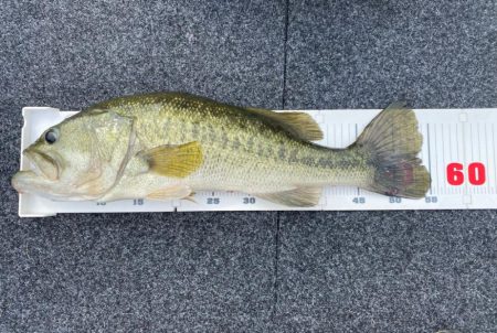 1日ボート釣行!