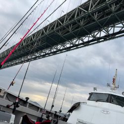 大荒れ明石へタコ