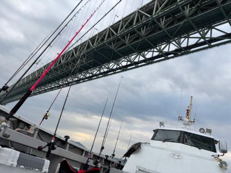 大荒れ明石へタコ