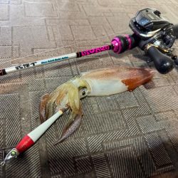 和歌山イカメタル