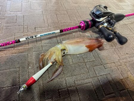 和歌山イカメタル