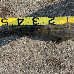 ふら〜っと帰ってきた!