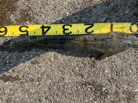 ふら〜っと帰ってきた！