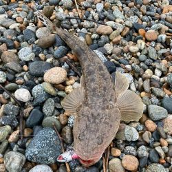 25カルディア入魂