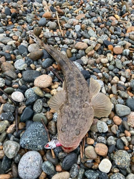 25カルディア入魂