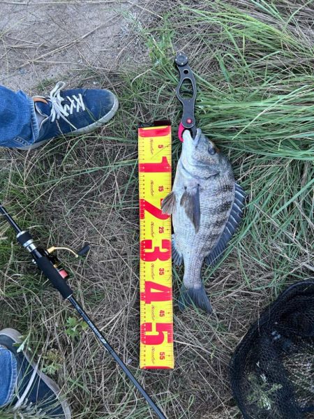 仕事終わりにチニング