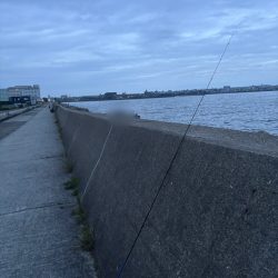 なんとか釣りました