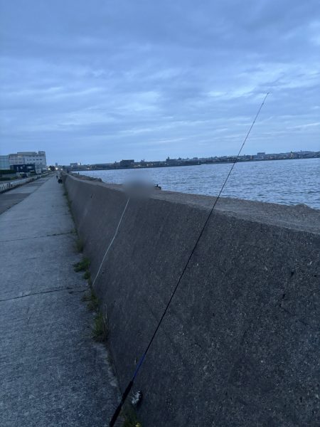 なんとか釣りました