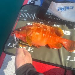 サップフィッシング