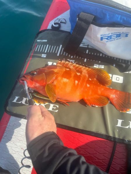 サップフィッシング