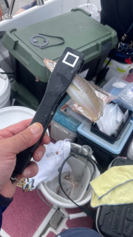 こんなところにキスが⁇