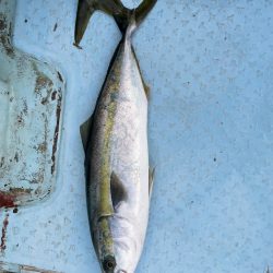 ボートキャスティング