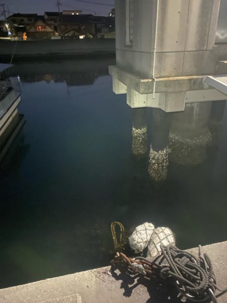 メバリング&エギング