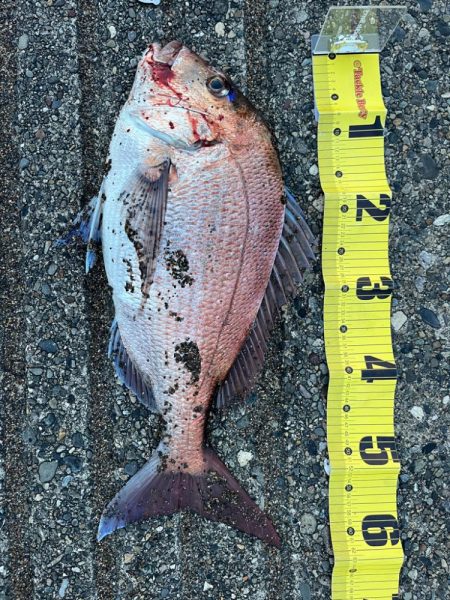 サーフの赤い彗星