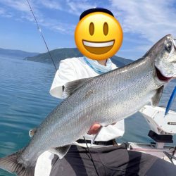 琵琶湖の宝石ビワマス