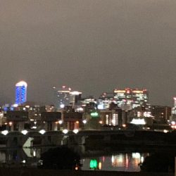 淀川のウナギ釣り