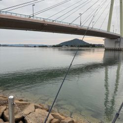 ちょい投げキス釣り