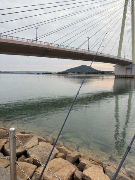 ちょい投げキス釣り