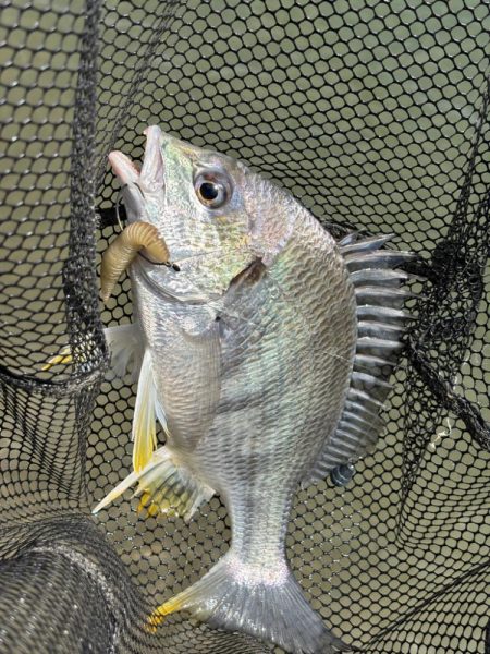 水門閉じたら明らかあたり減る
