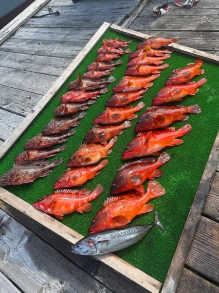 ボートロックフィッシング